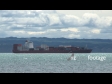Container Ship Napier 1 1831